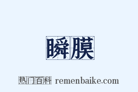 瞬膜是什么意思的图片